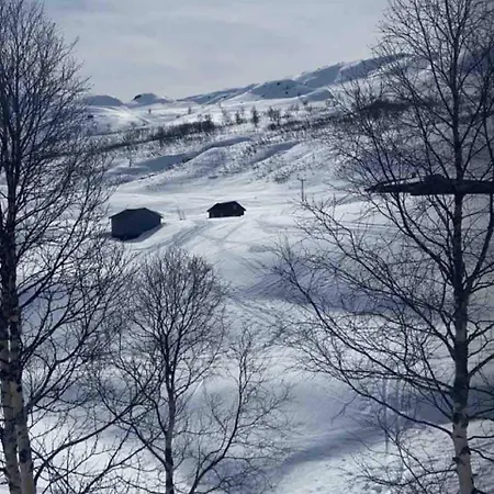 In Valldalen, 펜션 Røldal