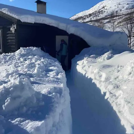 In Valldalen, * Røldal